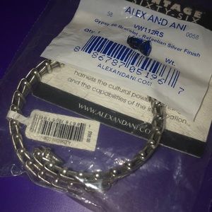 NEW Alex and Ani Bracelet - Gypsy 66, Silver Fin